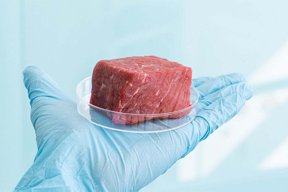 Ekili Et Girişimi FDA’nın Onayını Almayı Başardı