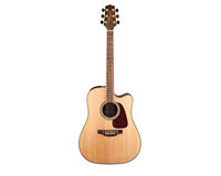 Akustik Gitarlar