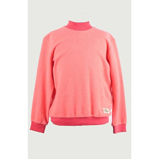 Alexandergardı Yarım Balıkçı Yaka Çocuk Sweatshirt (C19-138927) Erkek Çocuk Sweatshirt Fiyatı