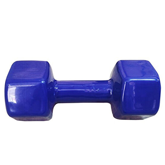 Avessa PVC 9 Kg Vinly Dambıl Dambıllar & El / Ayak Ağırlıkları Fiyatı