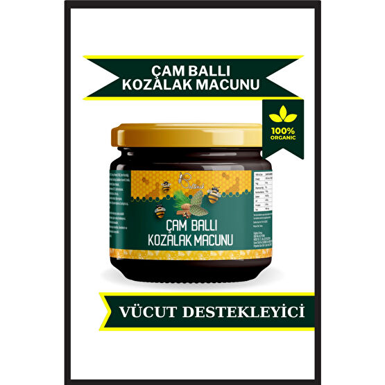 Baltonik Arı Sütlü Ve Ballı Özel Çam Kozalak Macumu Bal ve Reçel Fiyatı