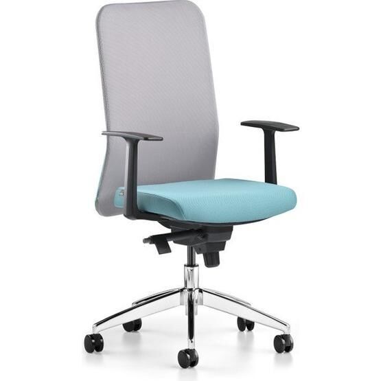 Bürotime Comfy Sabit Kol Alüminyum Ayak Gri Mint Yeşili Çalışma Koltuğu