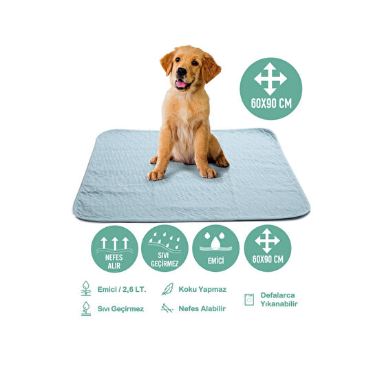 Careshop Abso Yıkanabilir Emici Tuvalet Eğitim Köpek Pedi ( 60x90 cm )