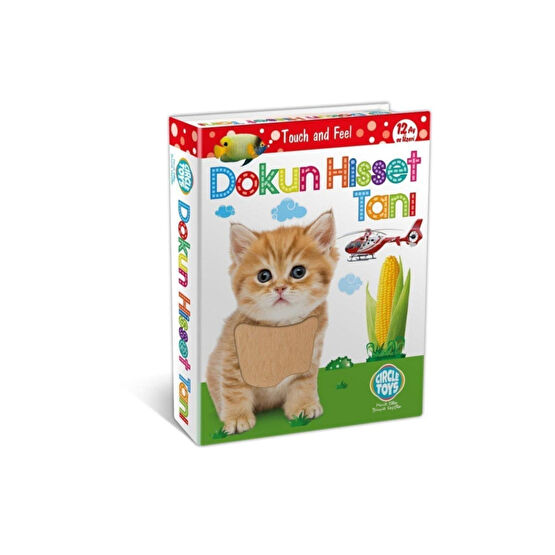 Circle Toys Tanı Eğitim Kartları Eğitici Oyuncak Fiyatı