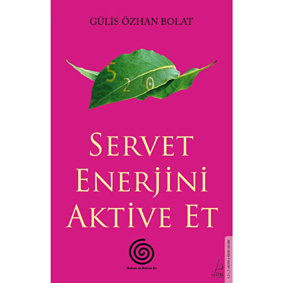 Destek Yayınları Servet Enerjini Aktive Et