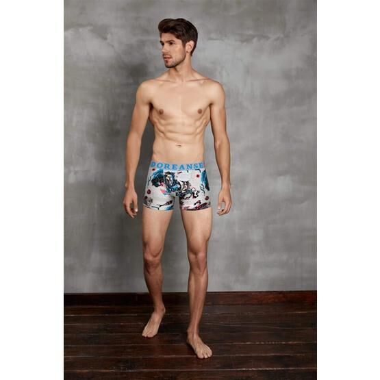 Doreanse 1806 Erkek Boxer