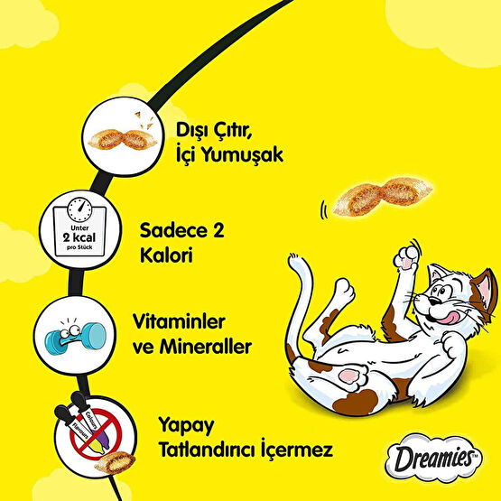 Dreamies Kedi Ödül Maması 60 gr Somon & Peynirli