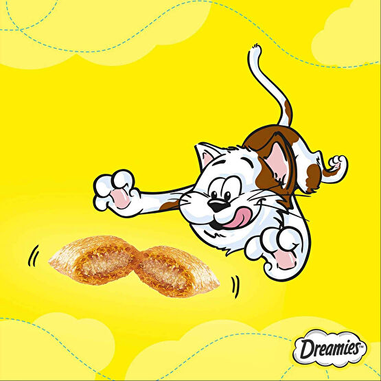Dreamies Kedi Ödül Maması 60 gr Somon & Peynirli