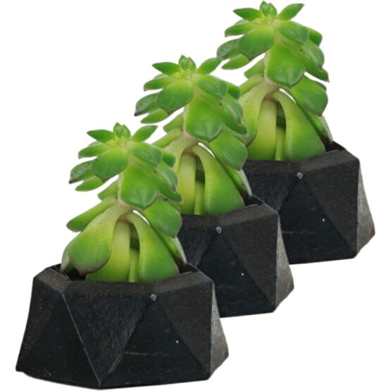 Evene Mini Çiçek Saksı Küçük Sukulent Kaktüs Saksısı 3'lü Set Mini Poly 2 - Siyah Saksı ve Aksesuarları Fiyatı