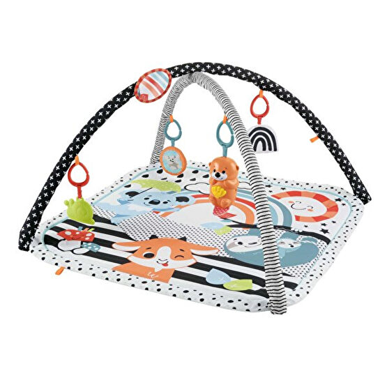 Fisher Price Neşeli Hayvanlar 3'ü 1 Arada Jimnastik Merkezi Hbp41 Çocuk Oyuncağı Fiyatı