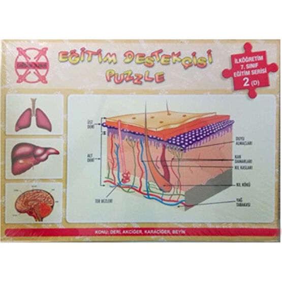 Gordion İlköğretim 7. Sınıf Eğitim Destekçisi Puzzle Gordion Puzzle & Aksesuarları Fiyatı