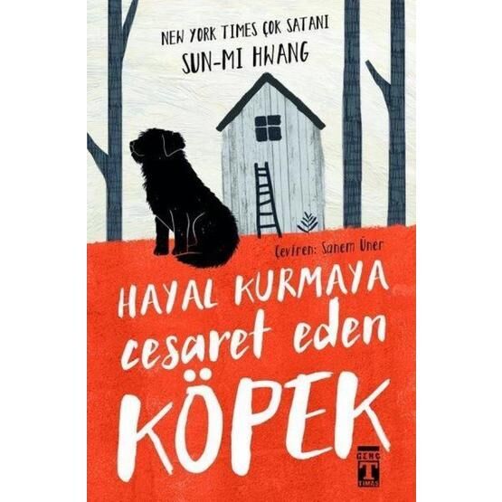 Hayal Kurmaya Cesaret Eden Köpek - Sun-mi Hwang