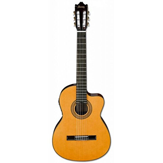 Ibanez Ga6Ce-Am Elektro Klasik Gitar Klasik Gitarlar Fiyatı