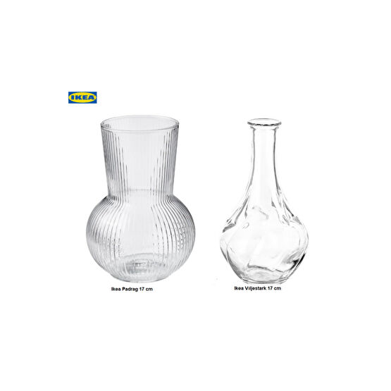 IKEA Padrag Ve Vıljestark Dekoratif Cam Vazo 2li 17 Cm Vazo Fiyatı