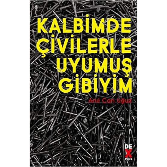 Kalbimde Çivilerle Uyumuş Gibiyim - Anıl Can Uğuz Öykü Kitapları Fiyatı