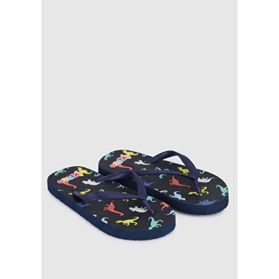 Kiddo Multi Erkek Çocuk Plaj Terliği Kız Çocuk Terlik & Sandaleti Fiyatı