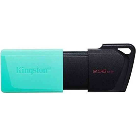 Kingston 256 GB Kıngston USB 3.2 Gen 1 Dt Exodıa M DTXM/256GB Flash Bellekler Fiyatı
