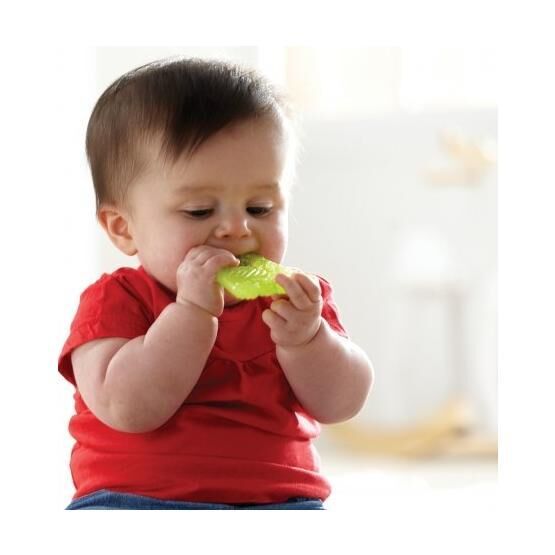 Munchkin Dişlik