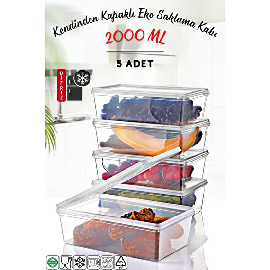 Nandy Home 5 Adet Kendinden Kapaklı Derin Dondurucuya Uygun Saklama Kabı 2 Lt Saklama Kapları Fiyatı