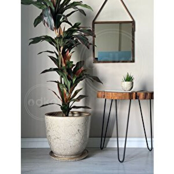 Odka Klasik Saksı Tabaklı 30 Cm X 32 Cm Lily Taş -beyaz-gold Taş Beyaz Gold Saksı ve Aksesuarları Fiyatı