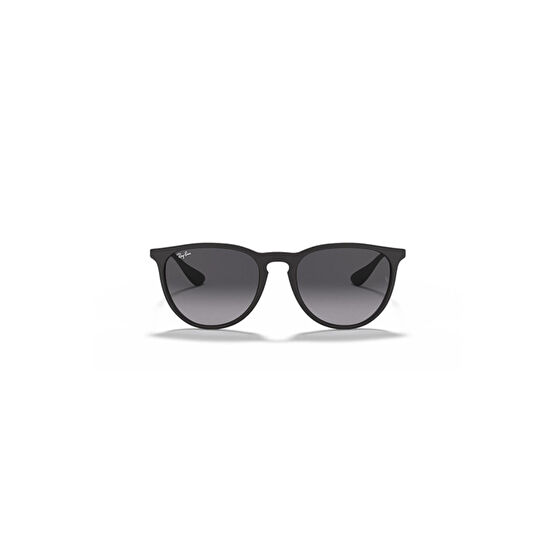 Ray-Ban Rayban Rb4171 622/8g 54-18 Güneş Gözlüğü
