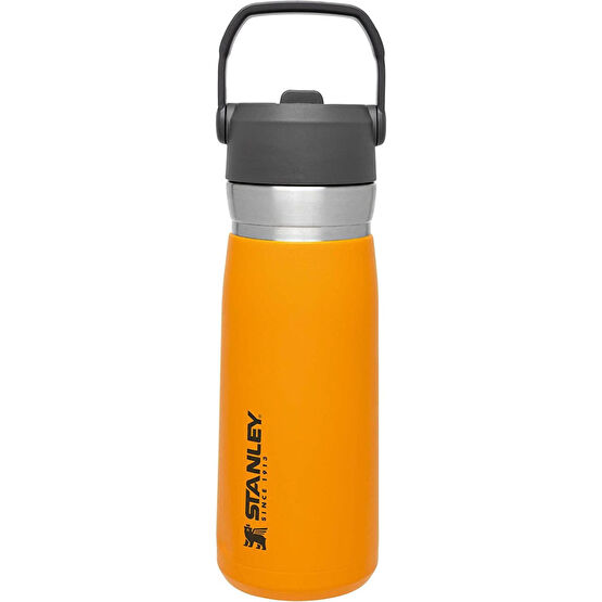 Stanley Go Iceflow Pipetli Paslanmaz Çelik Soğuk Su Termosu 0.65 Lt Termos Fiyatı